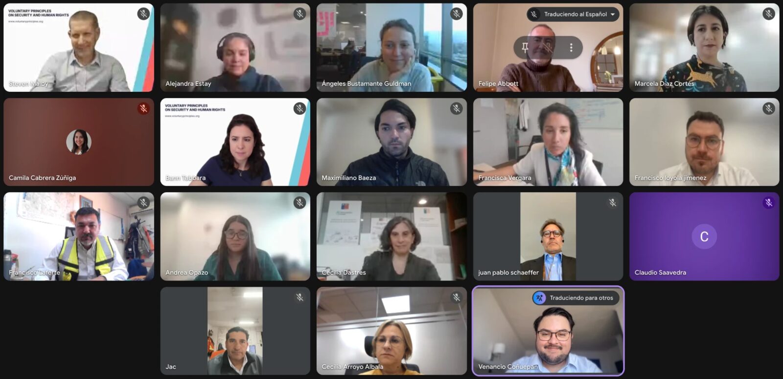 Participantes del encuentro en línea del Grupo de Trabajo Chile con la Dirección Ejecutiva de la Iniciativa de Principios Voluntarios, el 29 de octubre de 2026