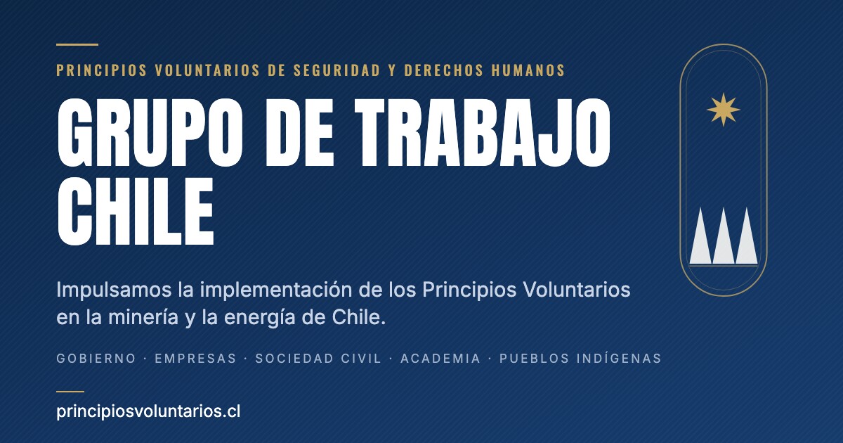 Imagen institucional del Grupo de Trabajo Chile sobre los Principios Voluntarios